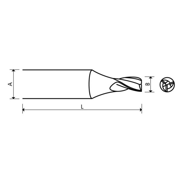 CG-WS1.1