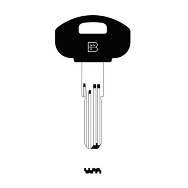 SCM1